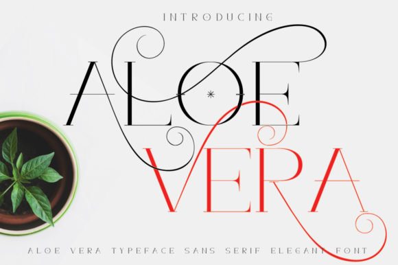 Aloe Vera: A Serif Font That Adds Romance to Every Craft Project