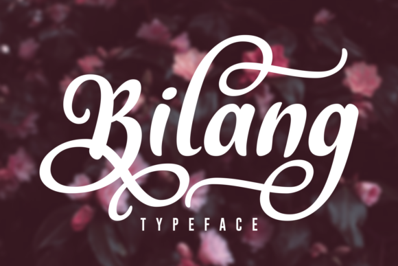Bilang: The Bold Script Font for Impactful Digital Design