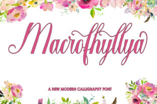 Macrofhyllya Script: A Beautiful Font for Handmade Creators