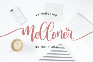 Melloner: The Font That Elevates Your Brandβs Visual Story
