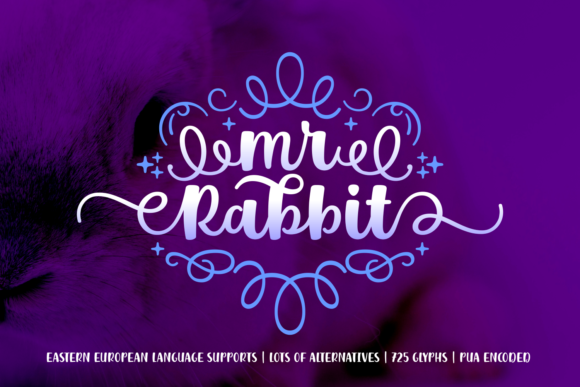Mr. Rabbit: A Festive Script Font for Editorial Design